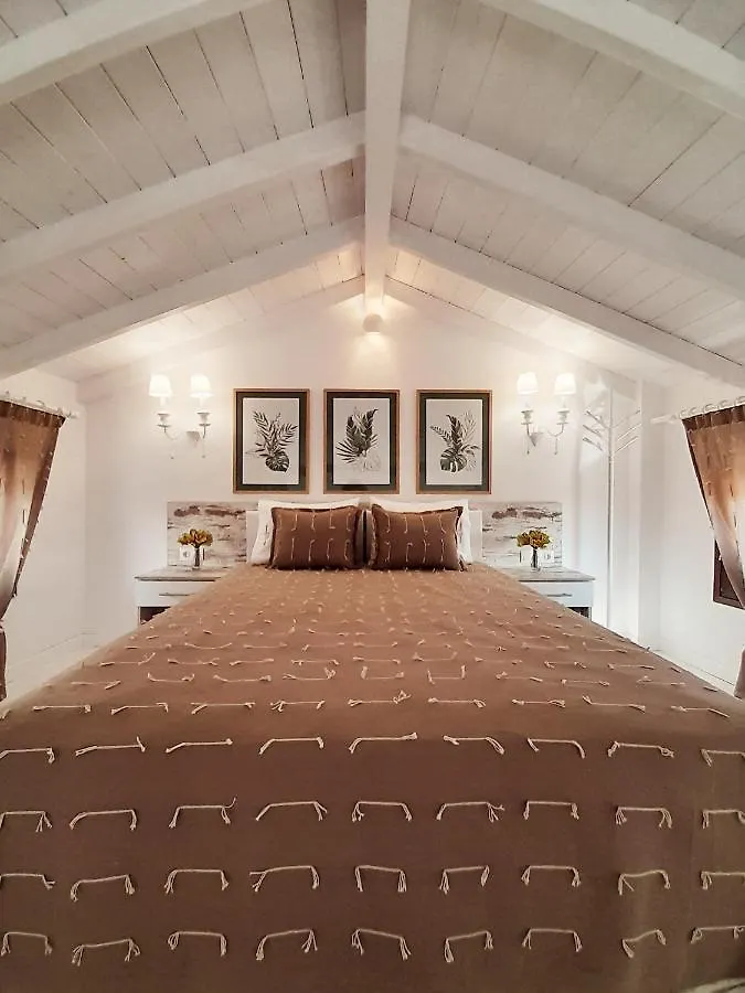アギオス・ニコラオスAgora Luxury Loftアパートメント アパート